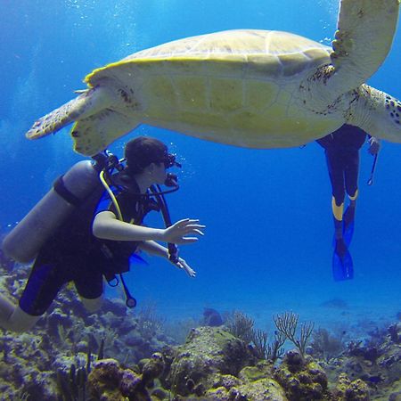 Roxon Red Sea Eilat - Adults Only酒店 外观 照片